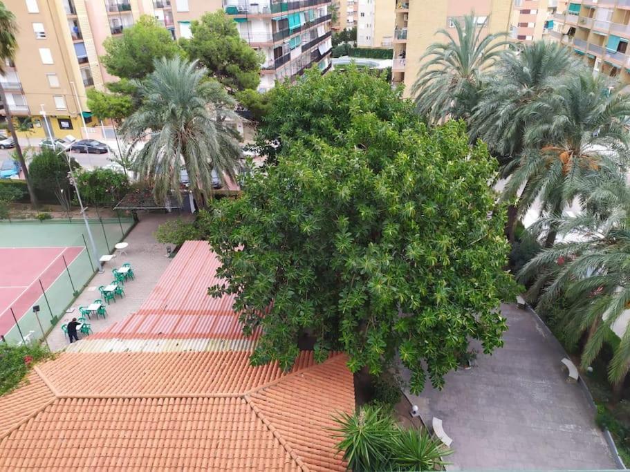 Apartamento Playa Playa Pobla de Farnals Dış mekan fotoğraf